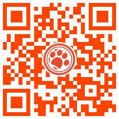 ためしてみよう! 5