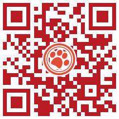 ためしてみよう! 4